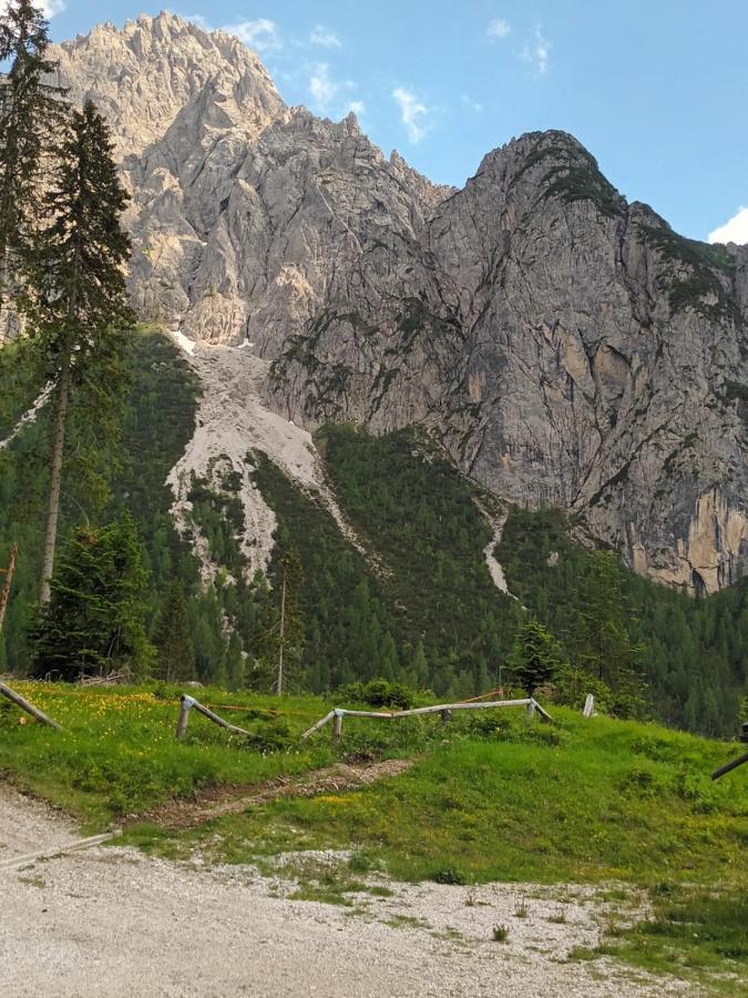 Appartamenti Patrizia San Pietro di Cadore Kültér fotó