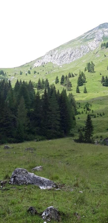 Appartamenti Patrizia San Pietro di Cadore Kültér fotó