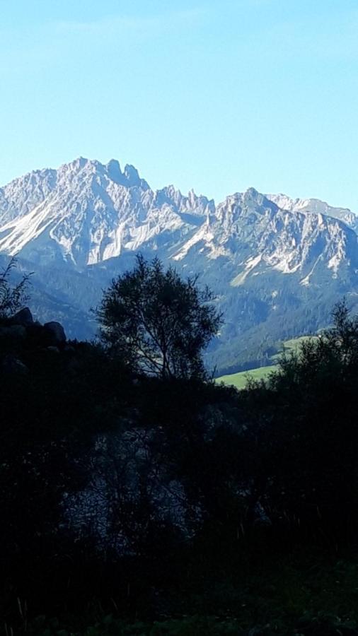 Appartamenti Patrizia San Pietro di Cadore Kültér fotó