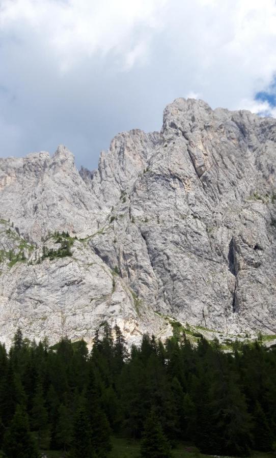 Appartamenti Patrizia San Pietro di Cadore Kültér fotó