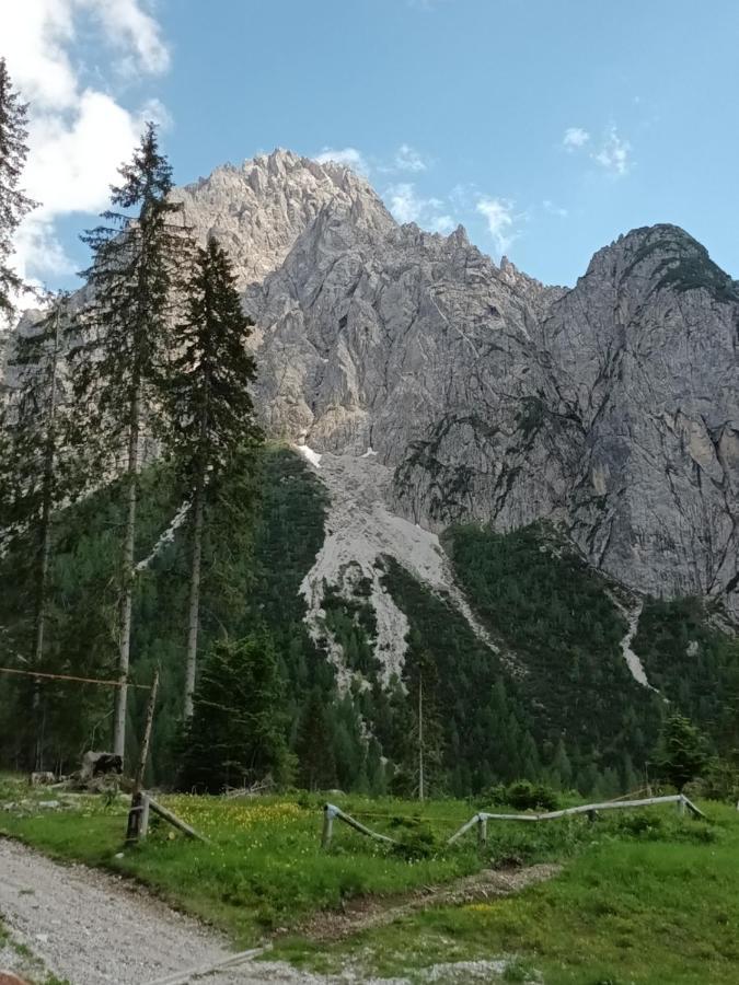 Appartamenti Patrizia San Pietro di Cadore Kültér fotó