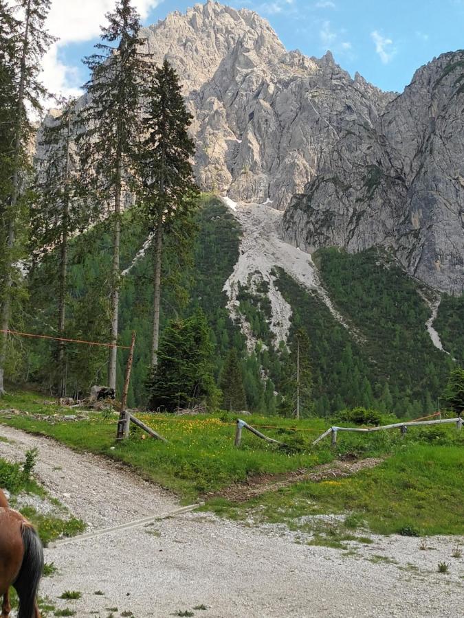 Appartamenti Patrizia San Pietro di Cadore Kültér fotó
