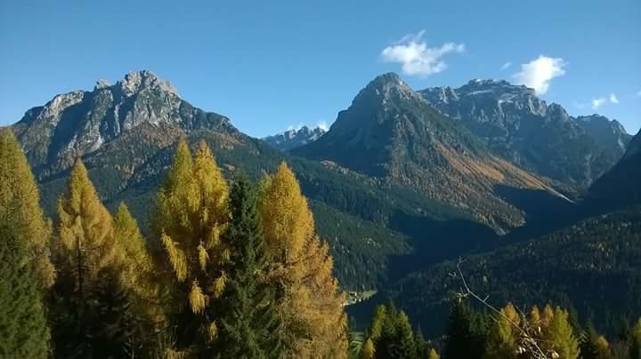 Appartamenti Patrizia San Pietro di Cadore Szoba fotó