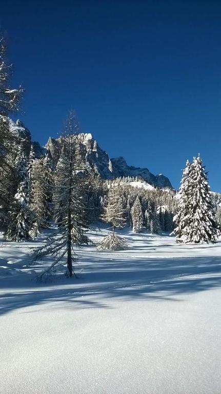 Appartamenti Patrizia San Pietro di Cadore Kültér fotó