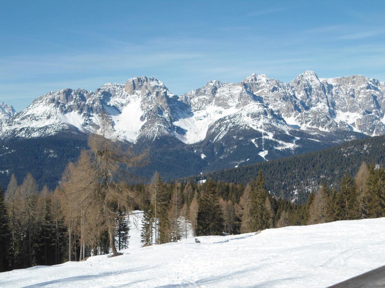 Appartamenti Patrizia San Pietro di Cadore Kültér fotó