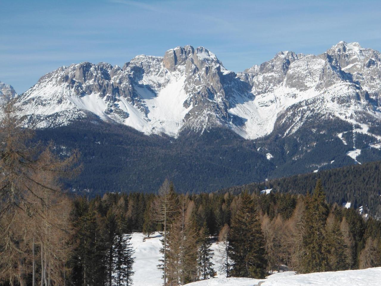 Appartamenti Patrizia San Pietro di Cadore Kültér fotó