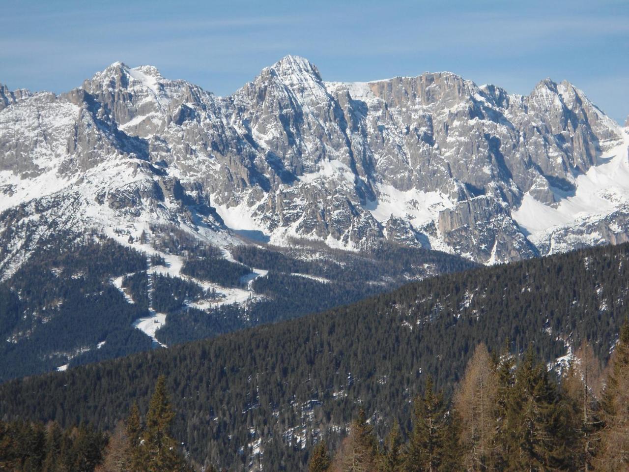 Appartamenti Patrizia San Pietro di Cadore Kültér fotó